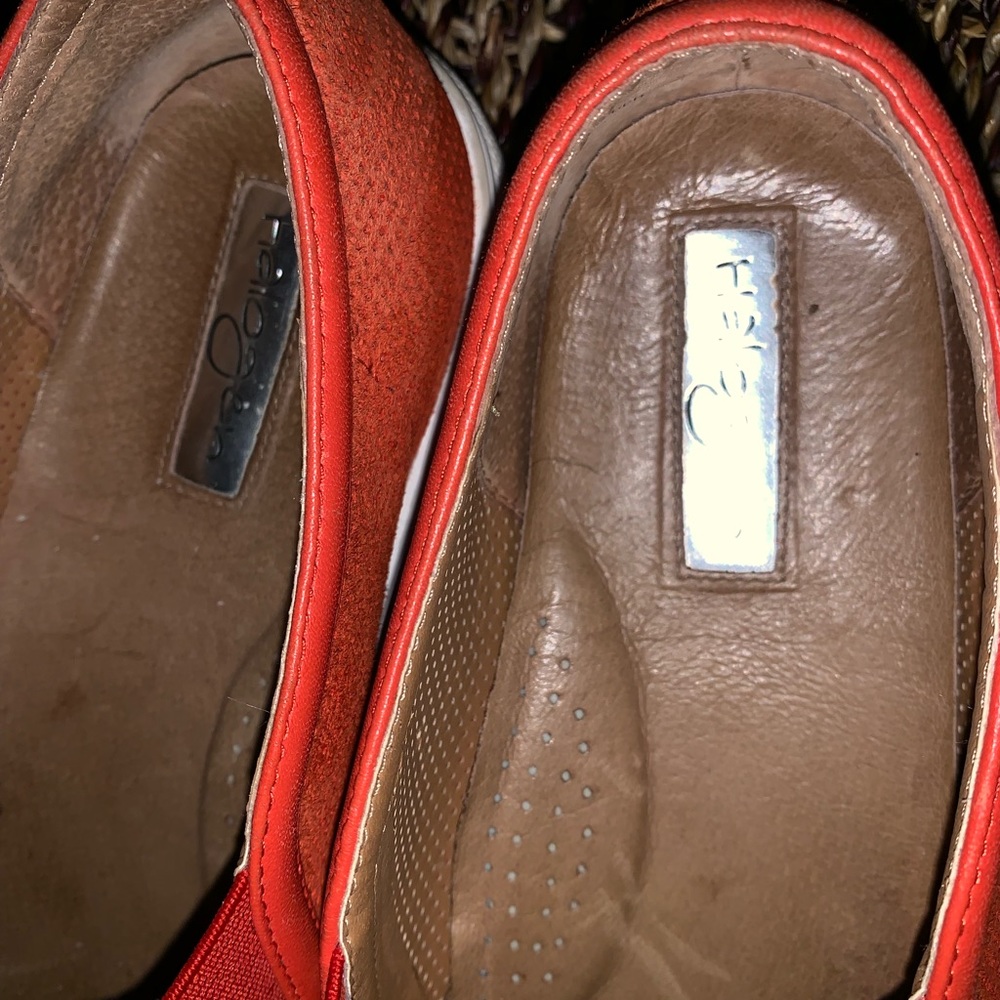 Halogen flats - Picture 6 of 8